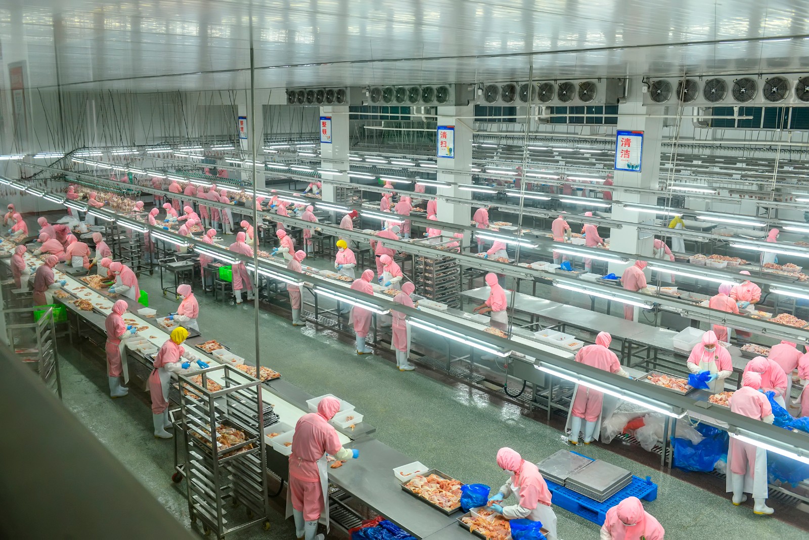 肉鸡加工厂分割车间.jpg